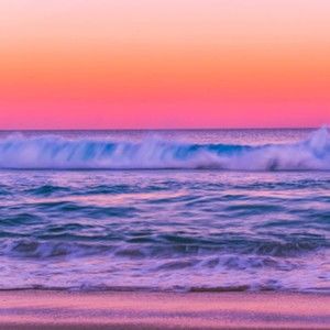 Meet your Posher, Audrey